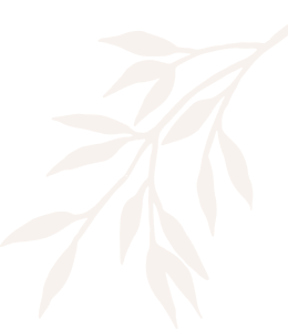 Urvashi - Beauty International